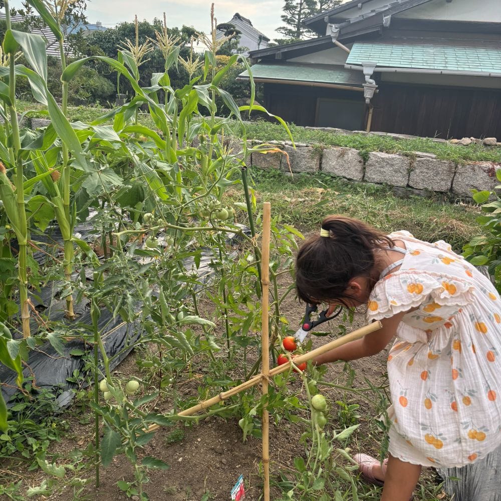 小豆島　　旅行　宿　一棟貸し　リノベ　古民家