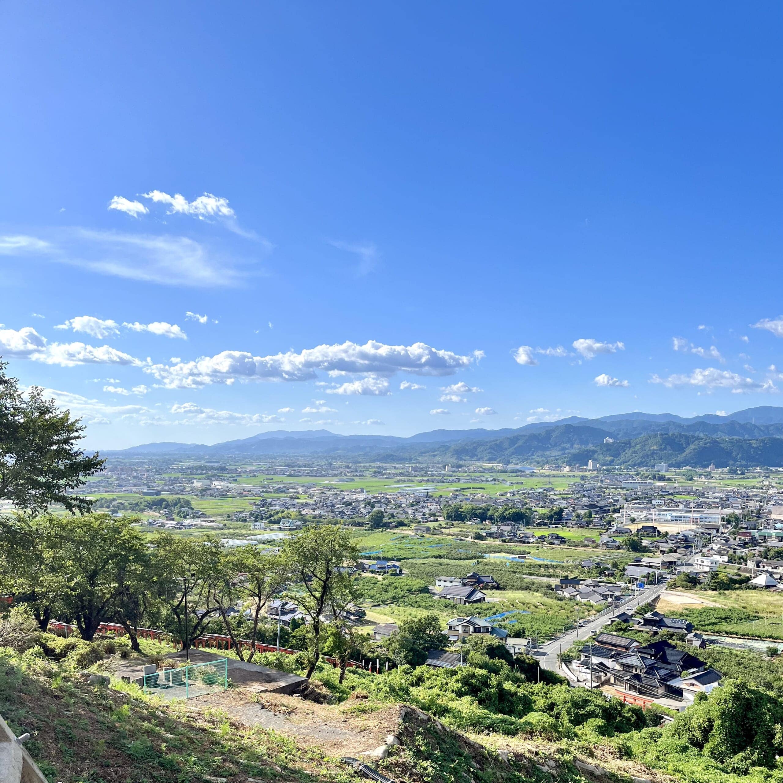 畑 田んぼ