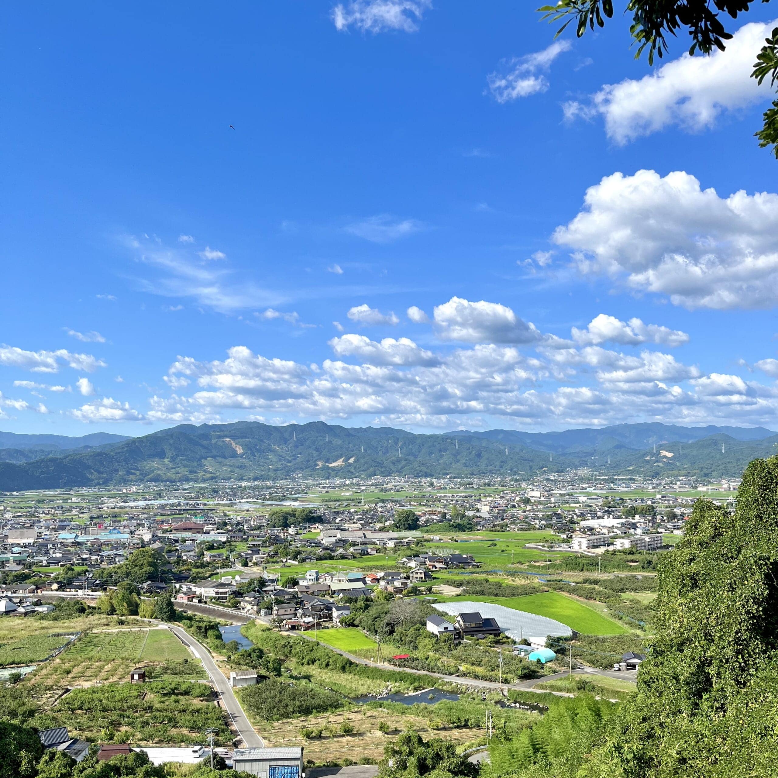 畑 田んぼ
