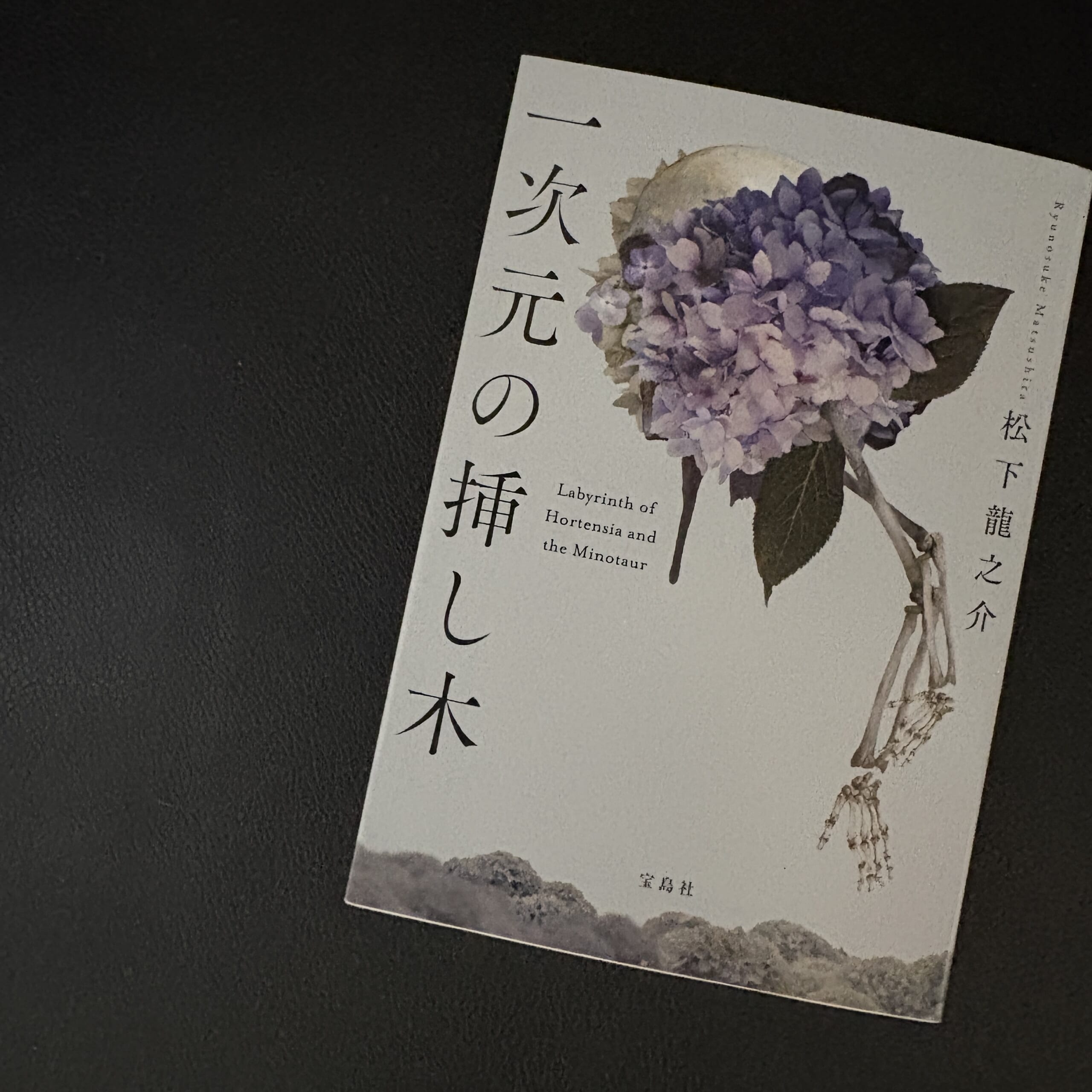 一次元の挿し木　松下龍之介
