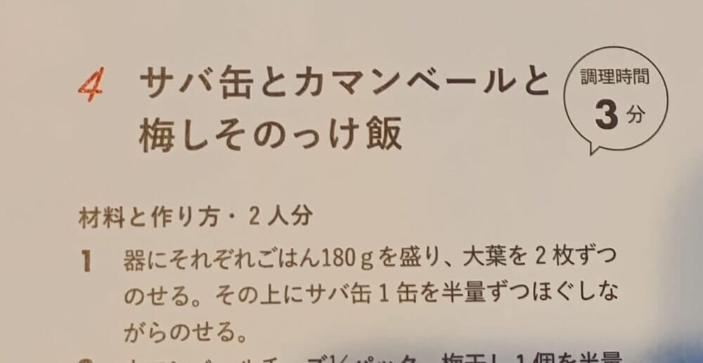 LEE レビュー のっけ飯6