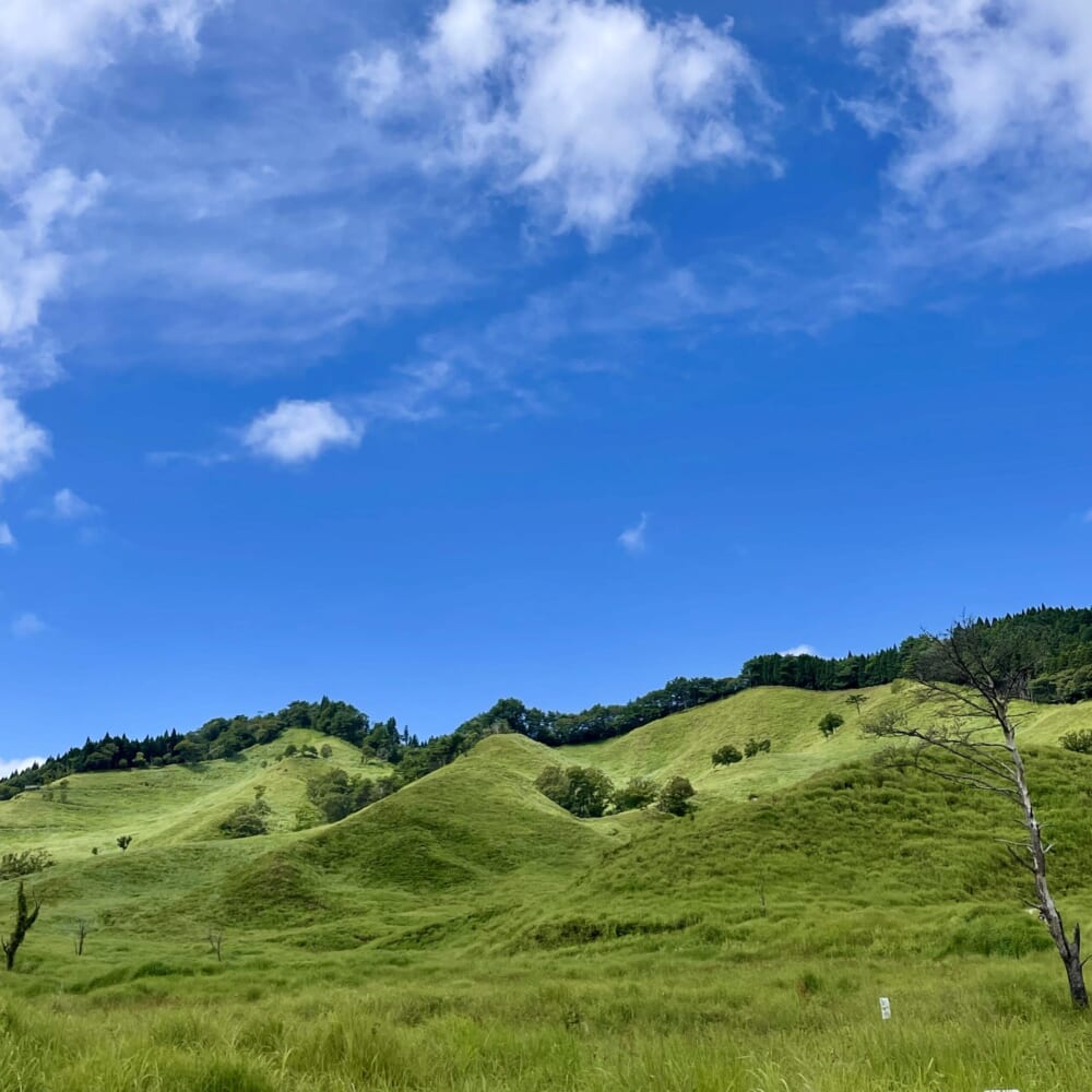 砥峰高原 兵庫