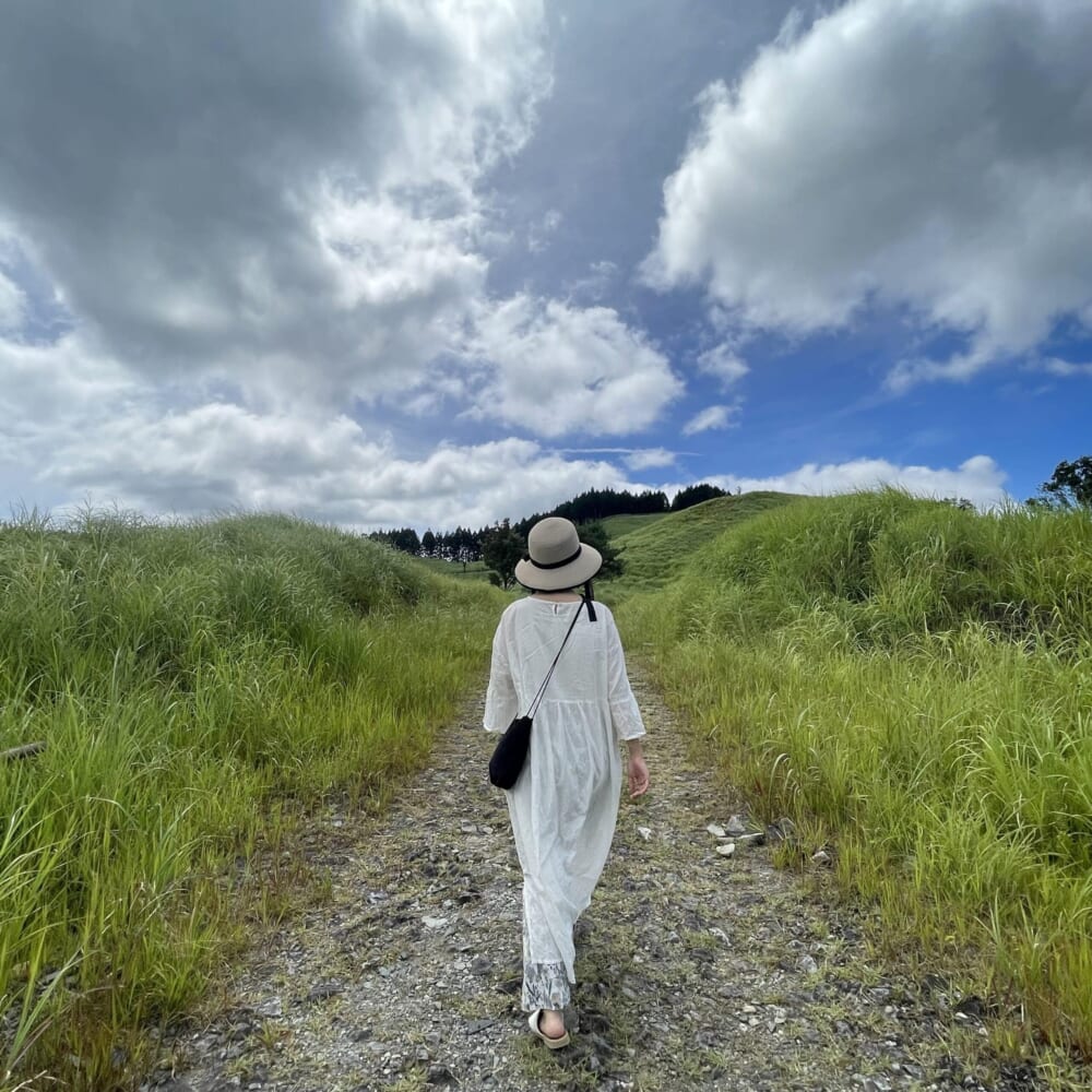 砥峰高原 兵庫