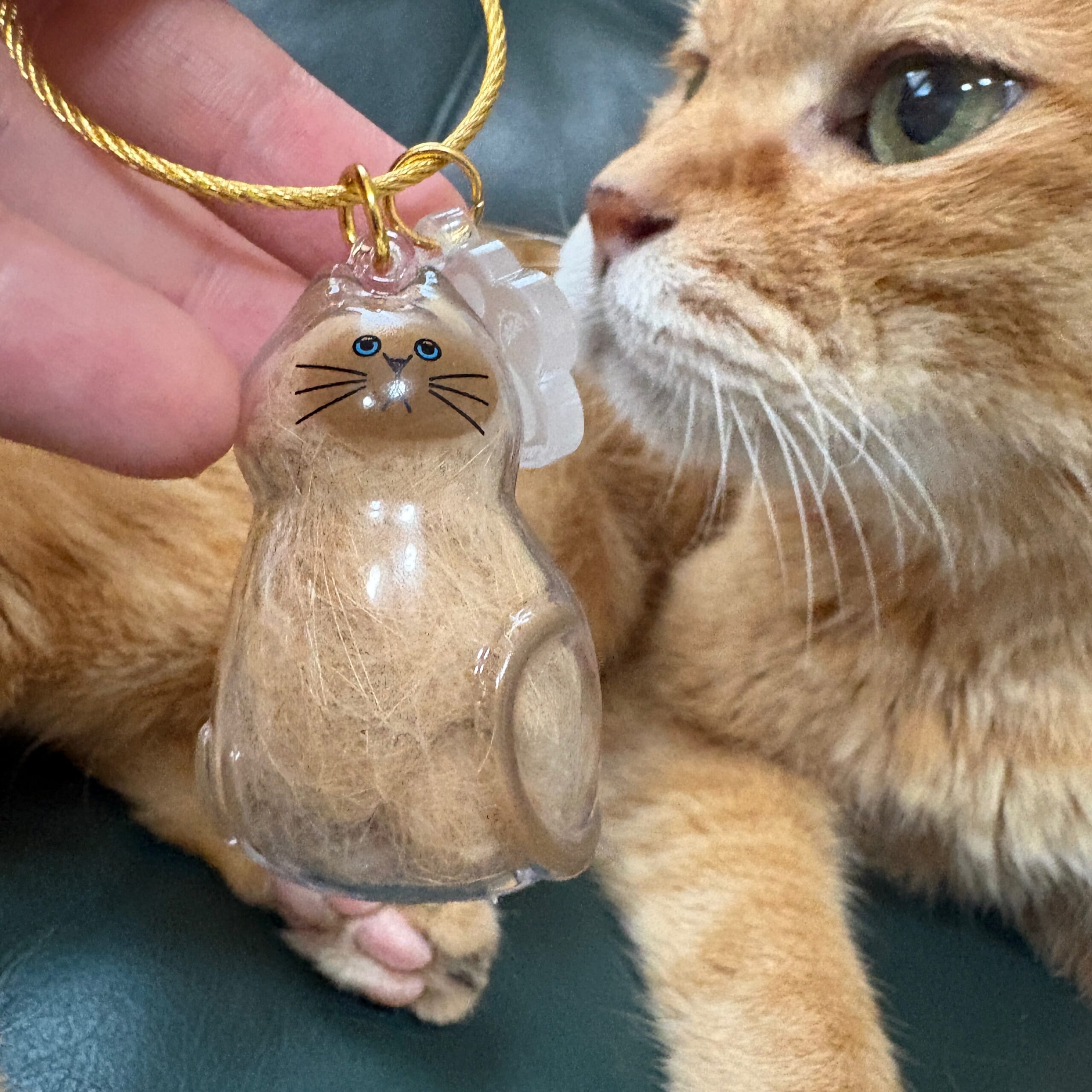 うちの子のけだまだま　ガチャ　カプセルトイ　猫