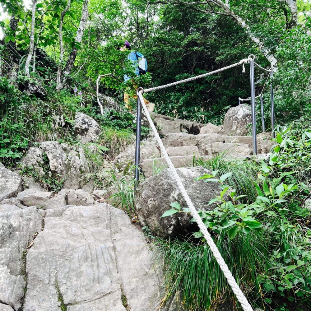 茨城県 筑波山登山 男体山(標高871m) 東側の女体山(標高877m) 御幸ヶ原コース 白雲橋コース 筑波山神社