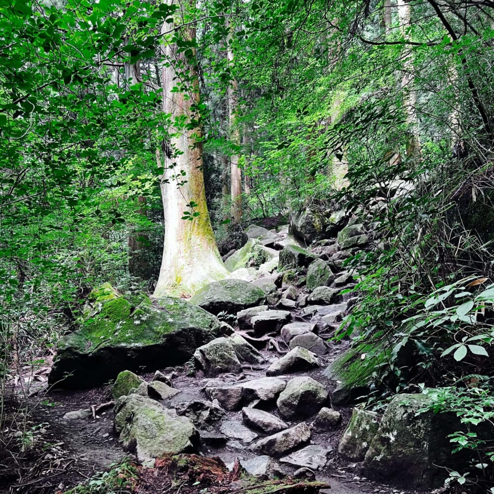 茨城県 筑波山登山 男体山(標高871m) 東側の女体山(標高877m) 御幸ヶ原コース 白雲橋コース 筑波山神社