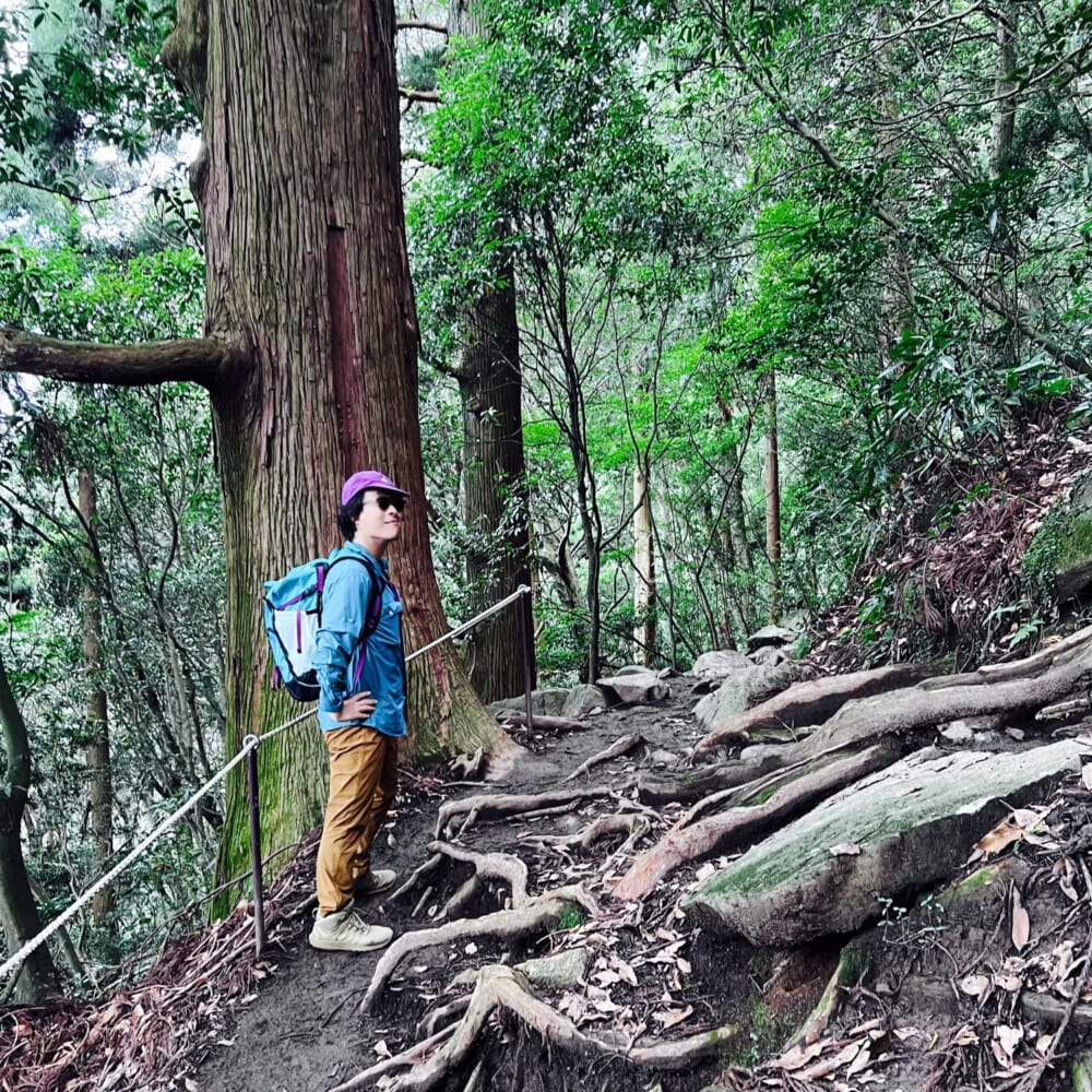 茨城県 筑波山登山 男体山(標高871m) 東側の女体山(標高877m) 御幸ヶ原コース 白雲橋コース 筑波山神社