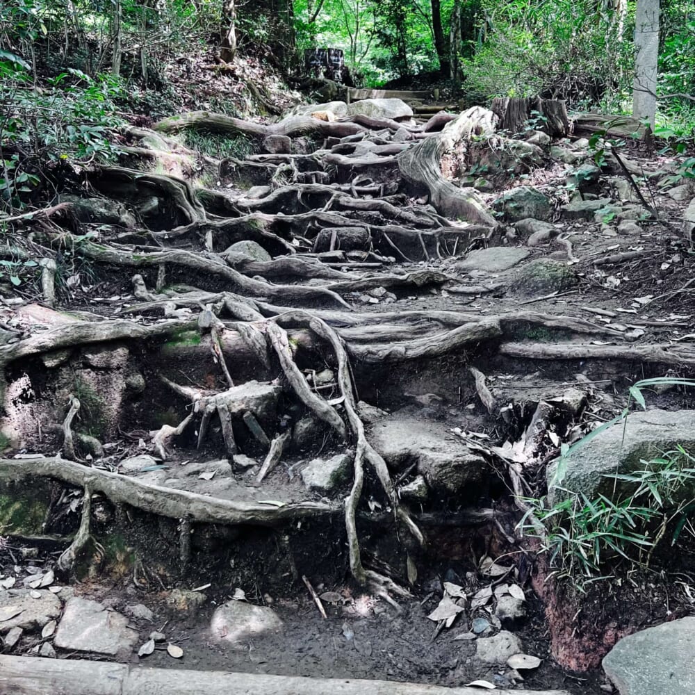 茨城県 筑波山登山 男体山(標高871m) 東側の女体山(標高877m) 御幸ヶ原コース 白雲橋コース 筑波山神社