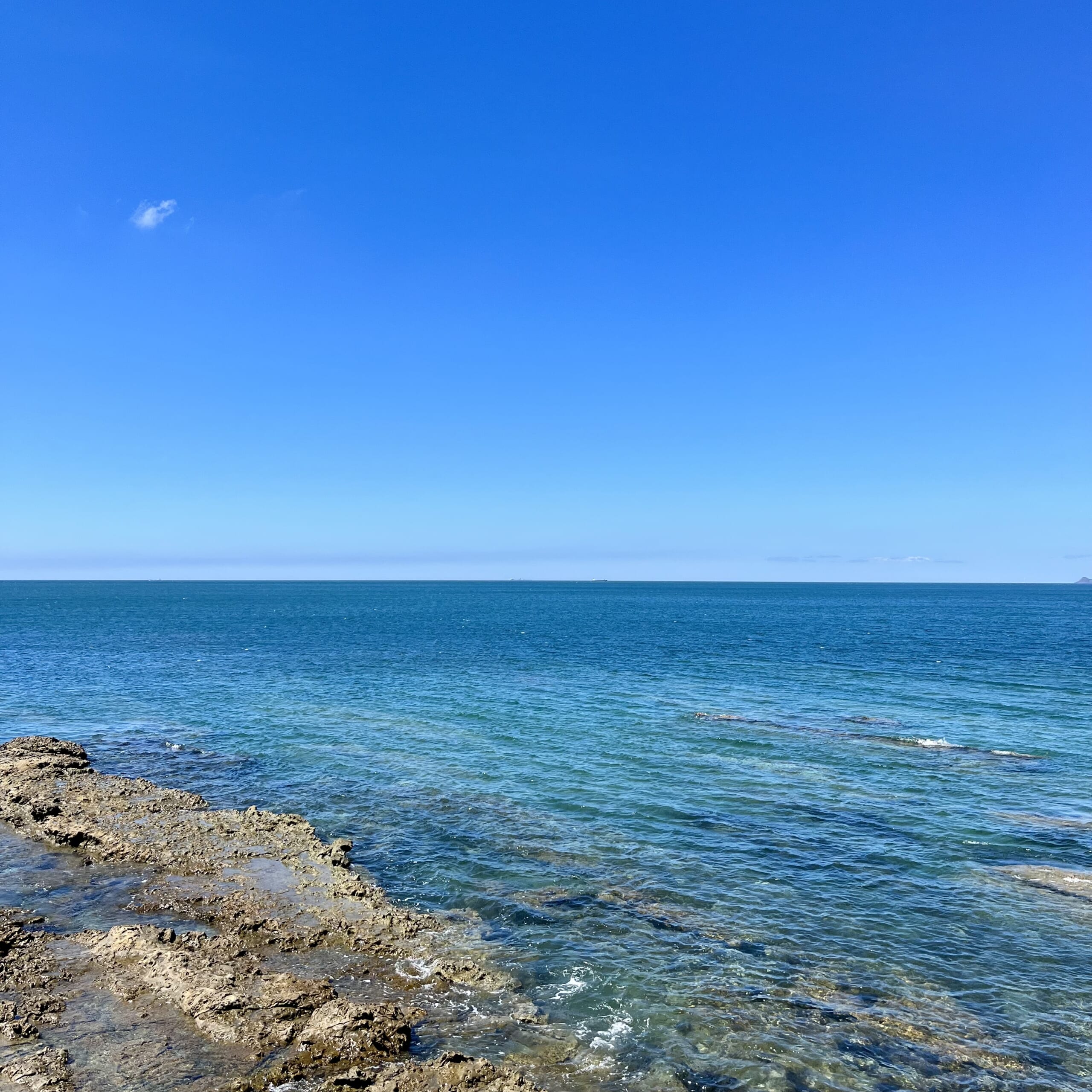 海
