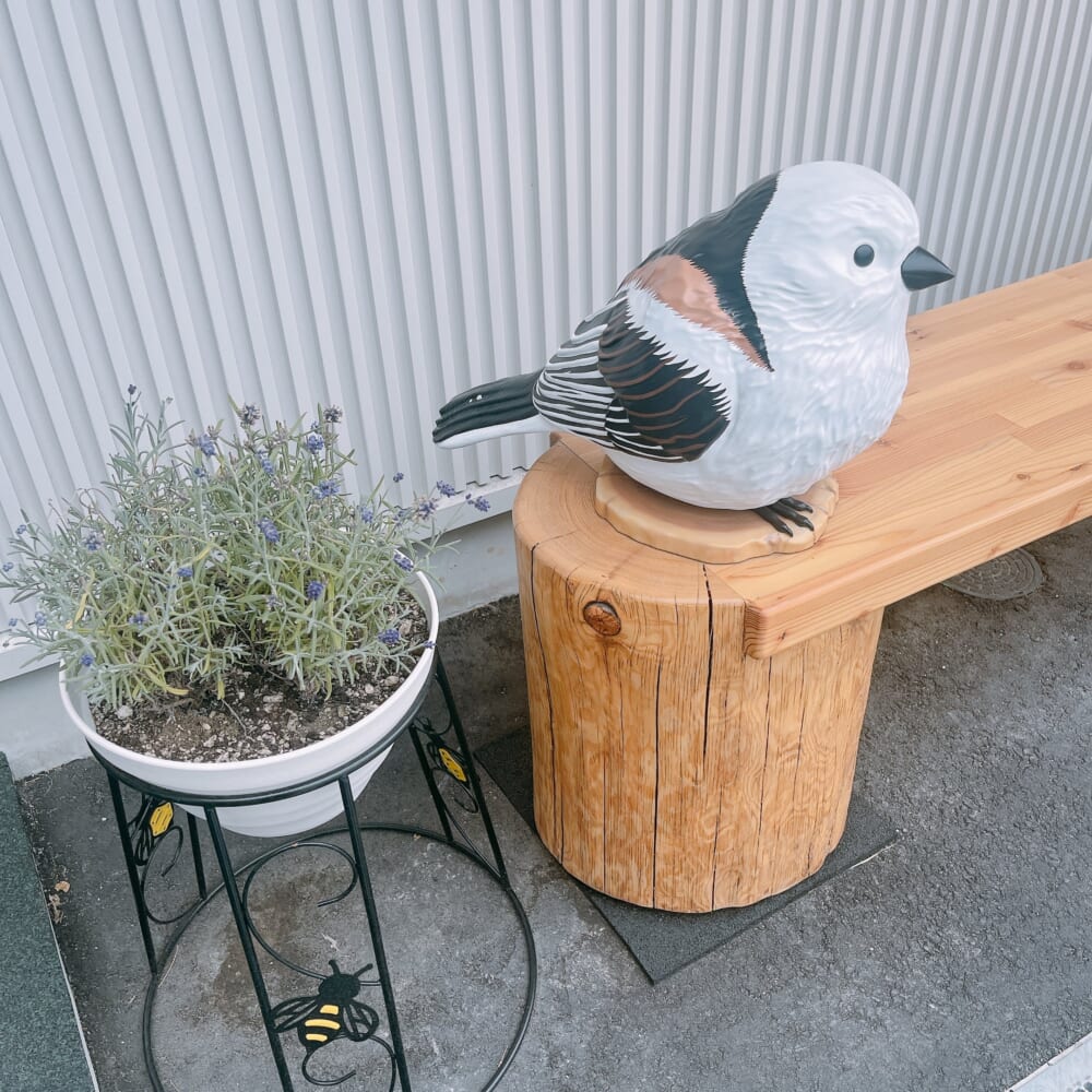 北海道 シマエナガ ラベンダー