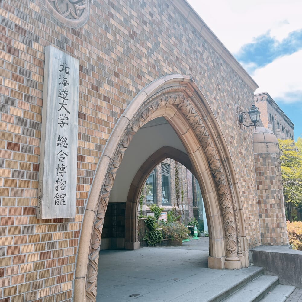 北海道大学 総合博物館