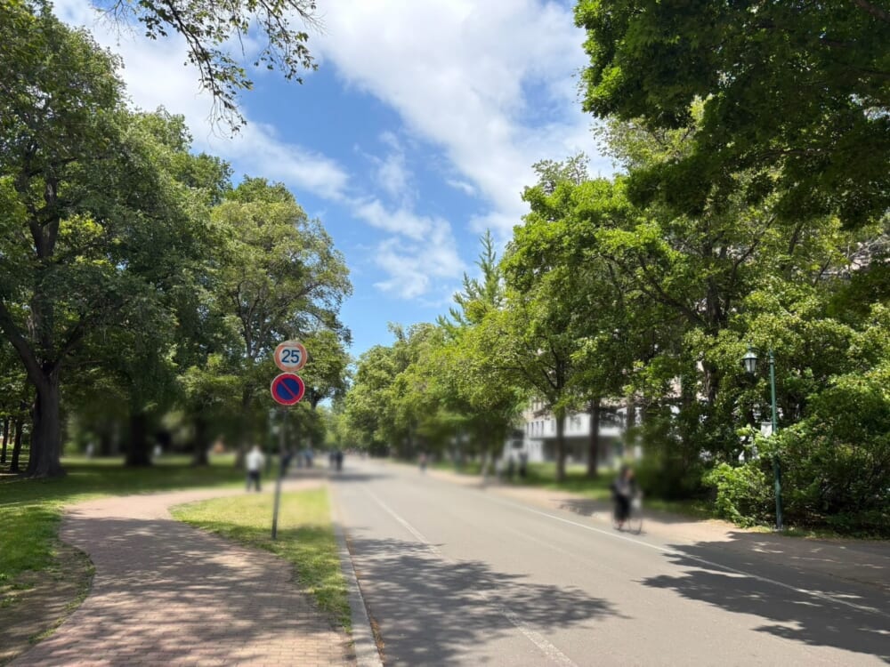 北海道大学 キャンパス 木々