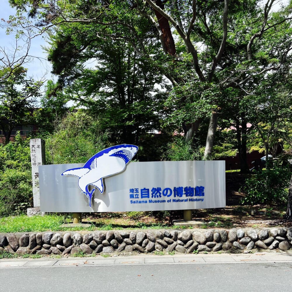 埼玉県立自然の博物館編 長瀞