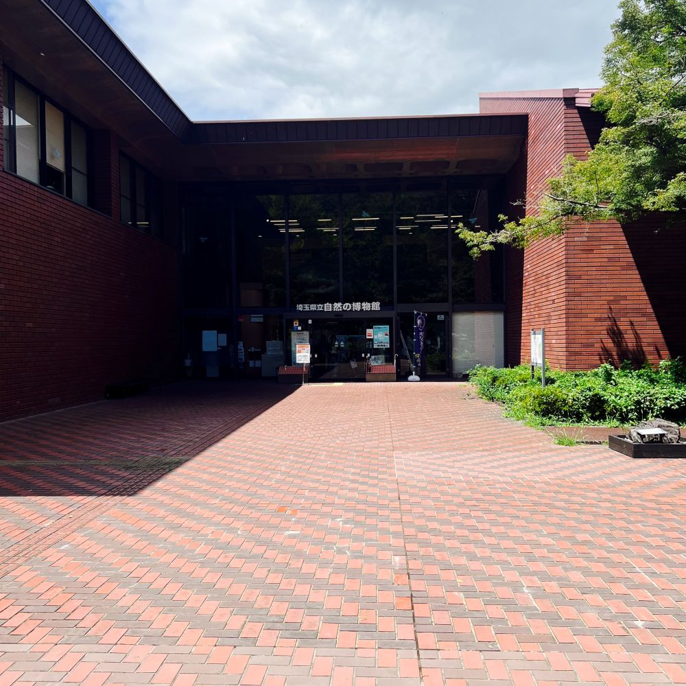 埼玉県立自然の博物館編 長瀞