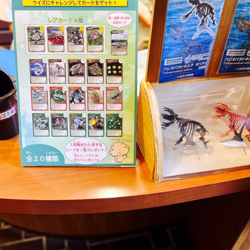 埼玉県立自然の博物館編 長瀞