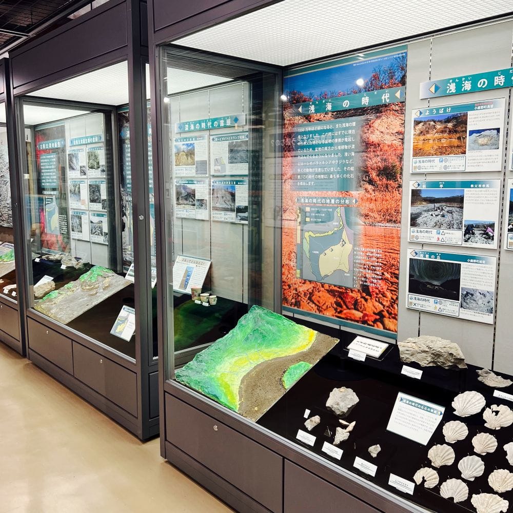 2F展示 埼玉県立自然の博物館編 長瀞