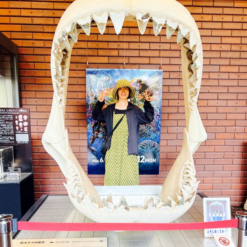 埼玉県立自然の博物館編 長瀞 メガロドン