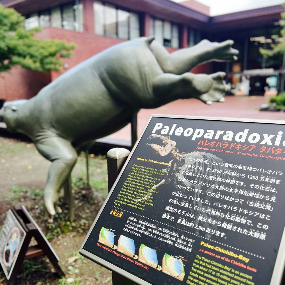 ユニーク 「パレオパラドキシア」 埼玉県立自然の博物館編 長瀞