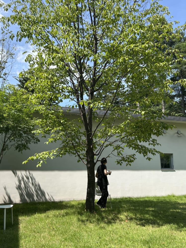 ゲルハルト　リヒター　軽井沢15
