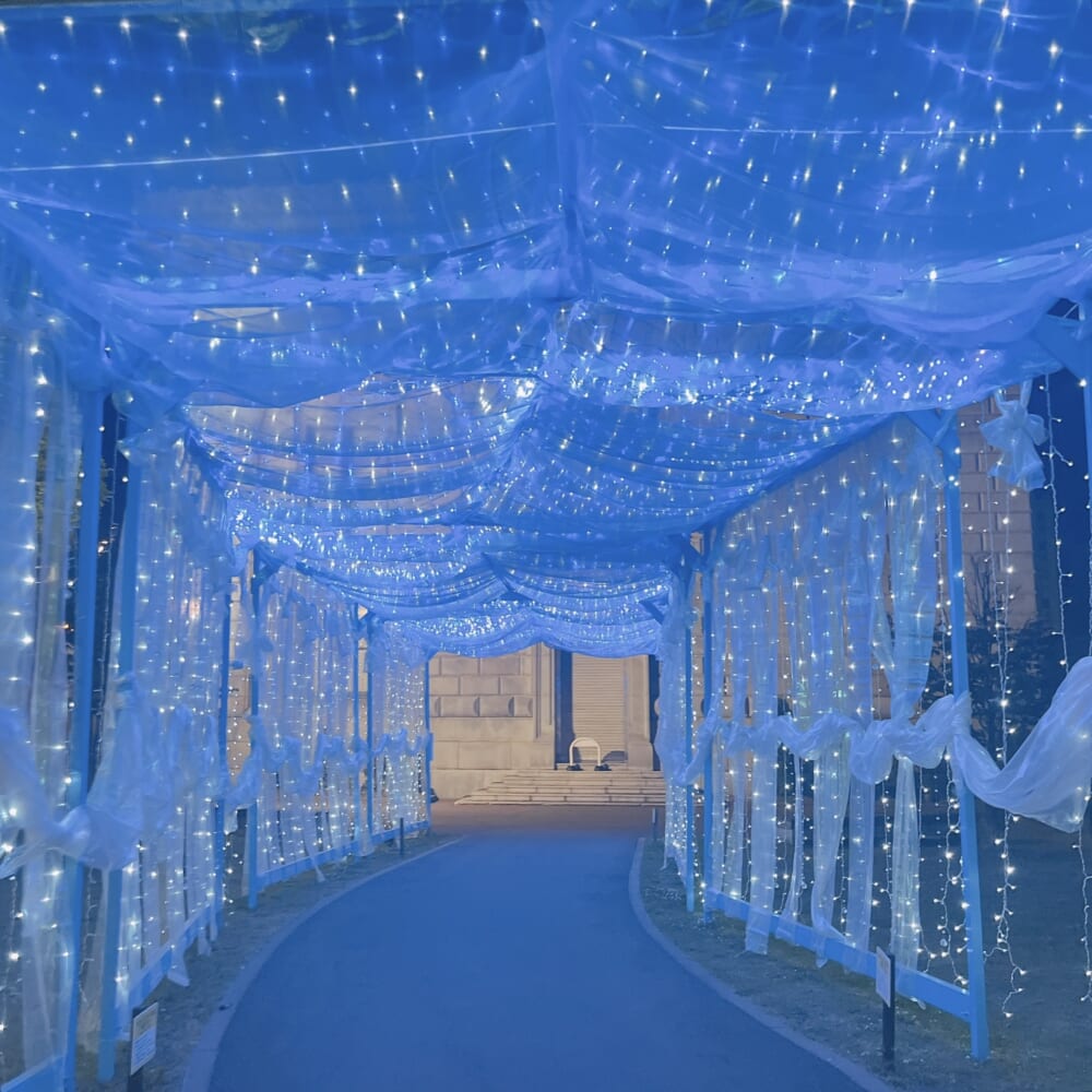 小樽芸術村 中庭 七夕イルミネーション