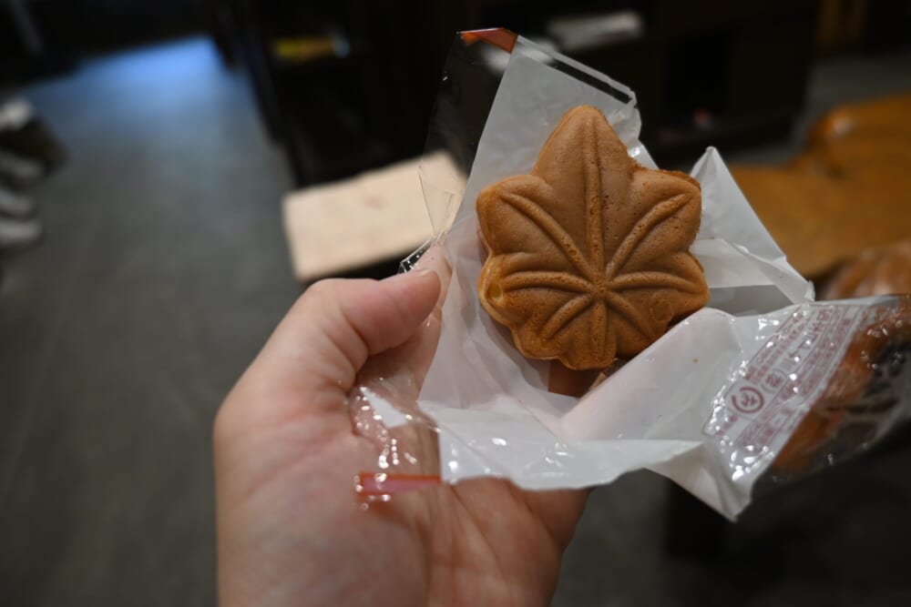 広島 帰省 旅18