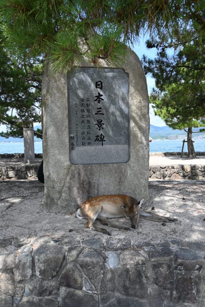 広島 帰省 旅6