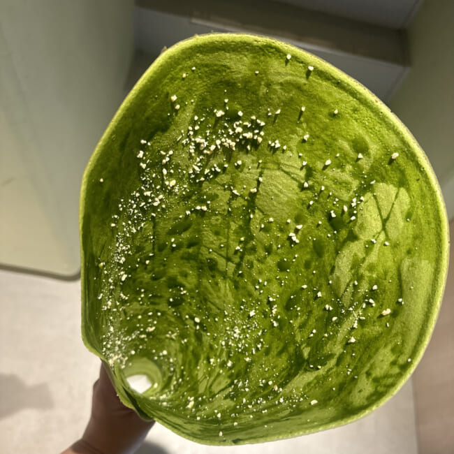 熱海さとり 食べ歩き クレープ
