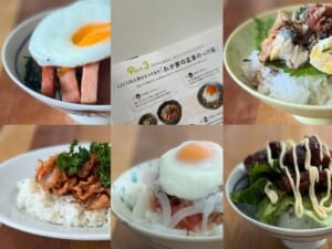 【2026年LEE8・9月号掲載】LEE100人隊のとっておき「わが家の定番のっけ飯」５選、全部作ってみたよ TB icoco