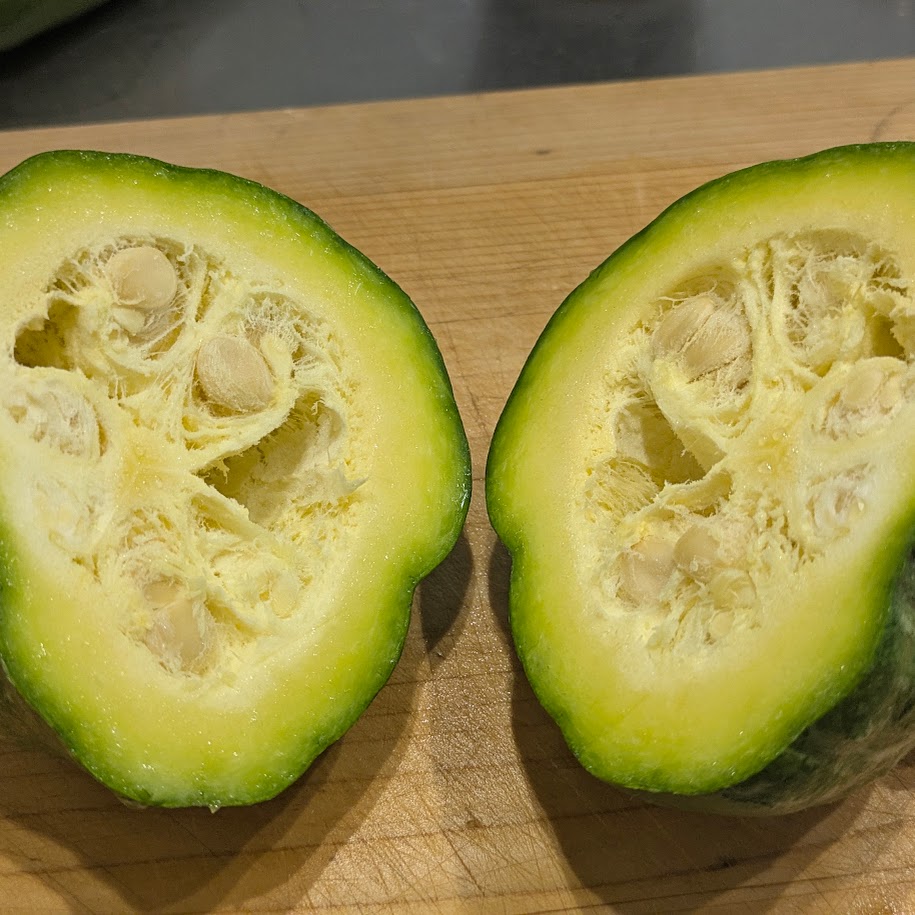 かぼちゃ ちいさな野菜 家庭菜園