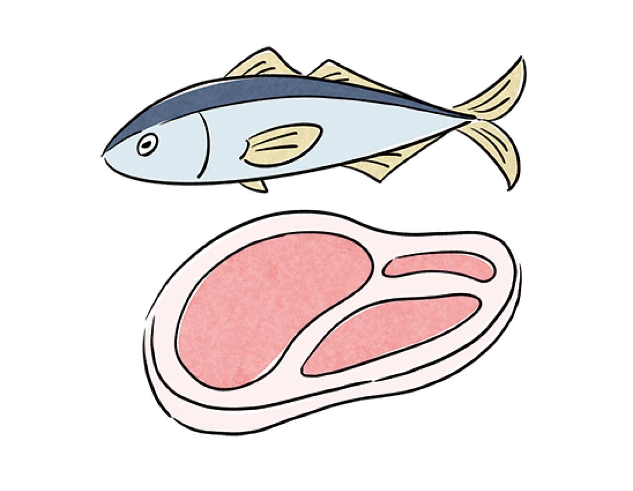 脂肪を含んだ肉や魚イラスト