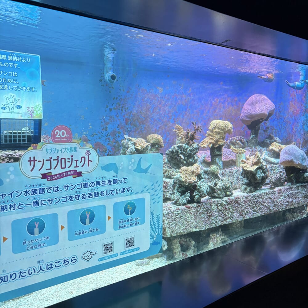 サンシャイン水族館 子連れおでかけ 東京