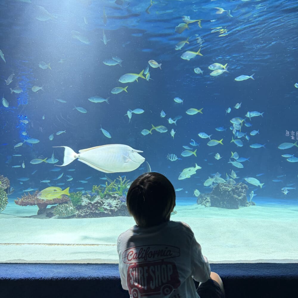 サンシャイン水族館 子連れおでかけ 東京