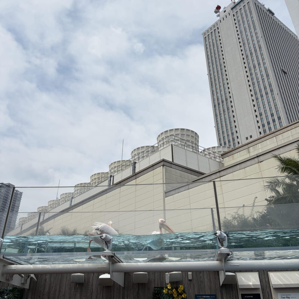 サンシャイン水族館 子連れおでかけ 東京