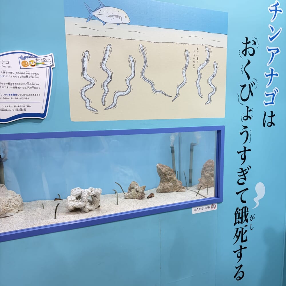 ざんねんないきもの展 サンシャイン 小学生