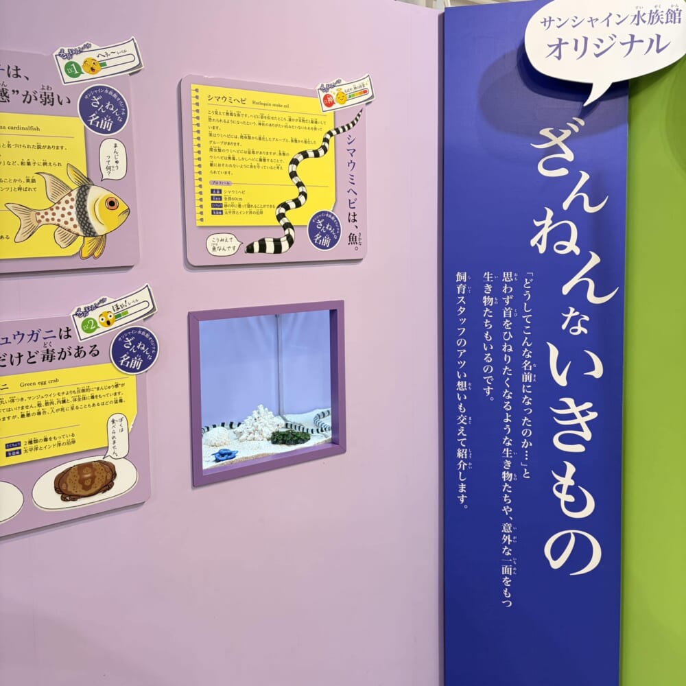 ざんねんないきもの展 サンシャイン 小学生