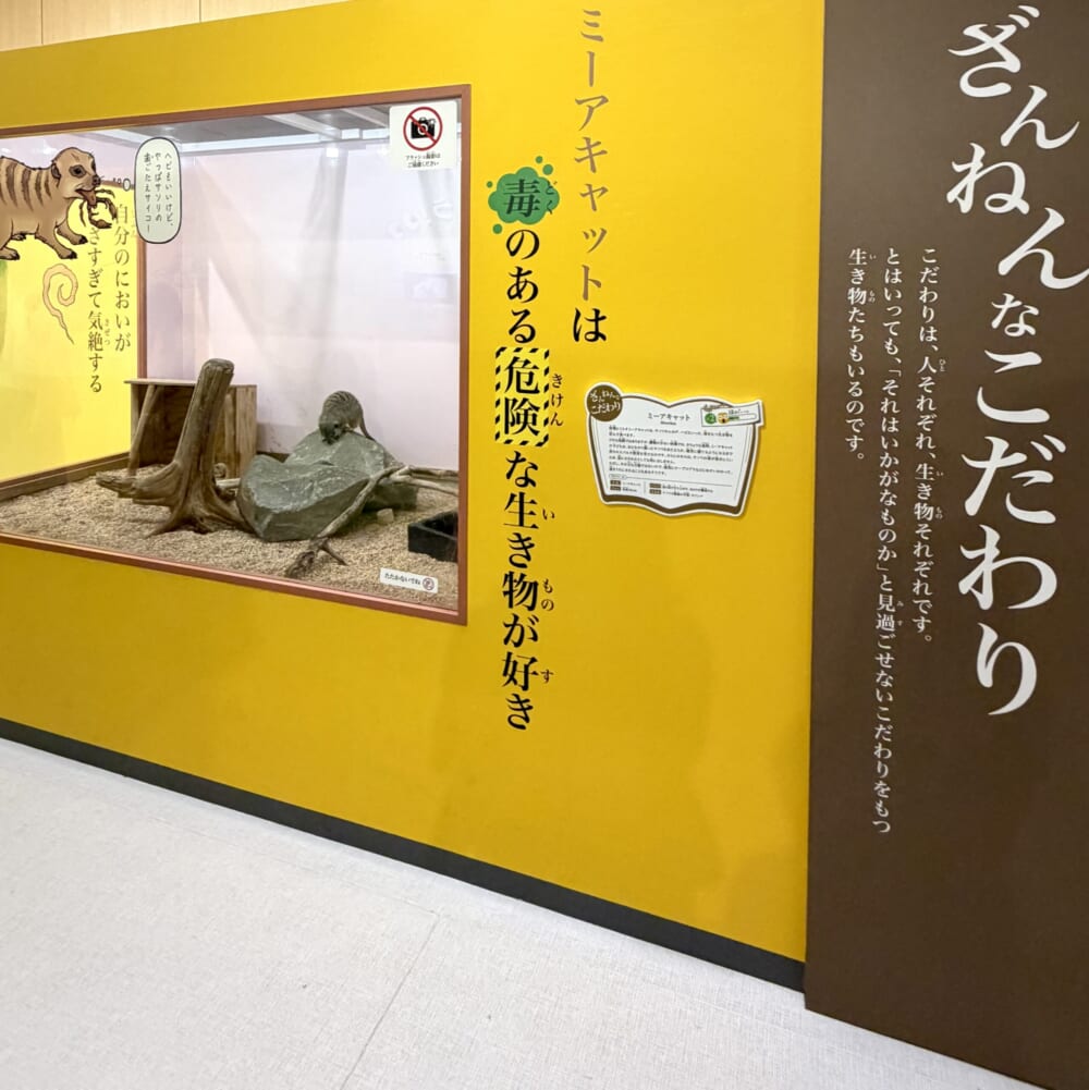 ざんねんないきもの展 サンシャイン 小学生