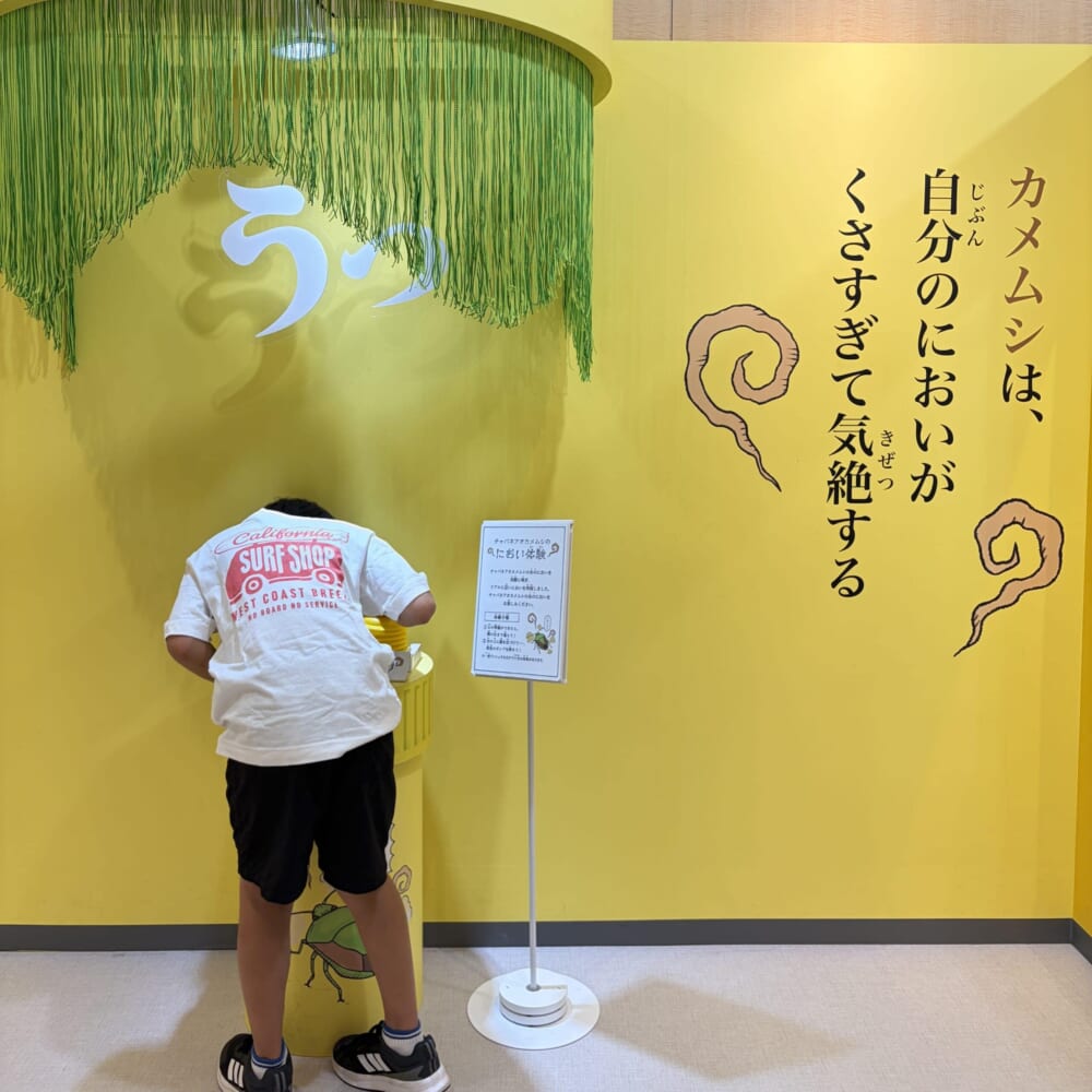 ざんねんないきもの展 サンシャイン 小学生