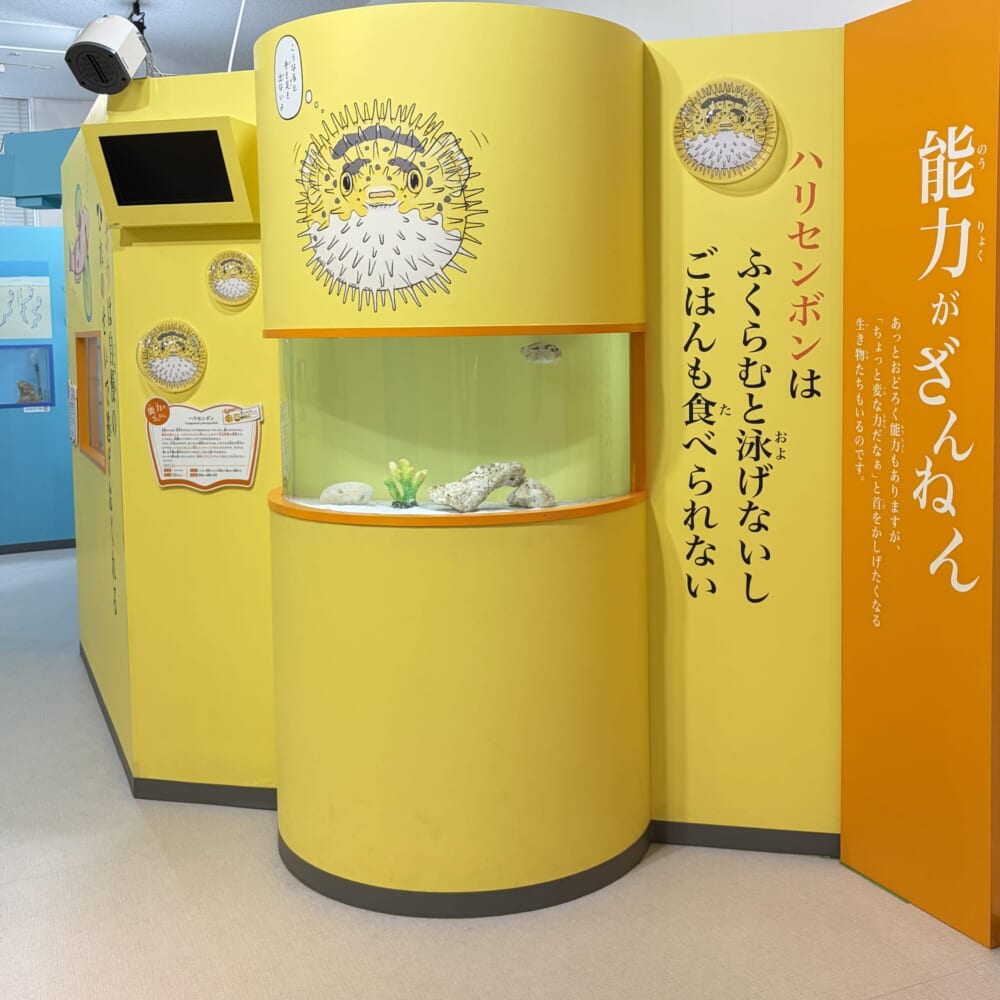 ざんねんないきもの展 サンシャイン 小学生