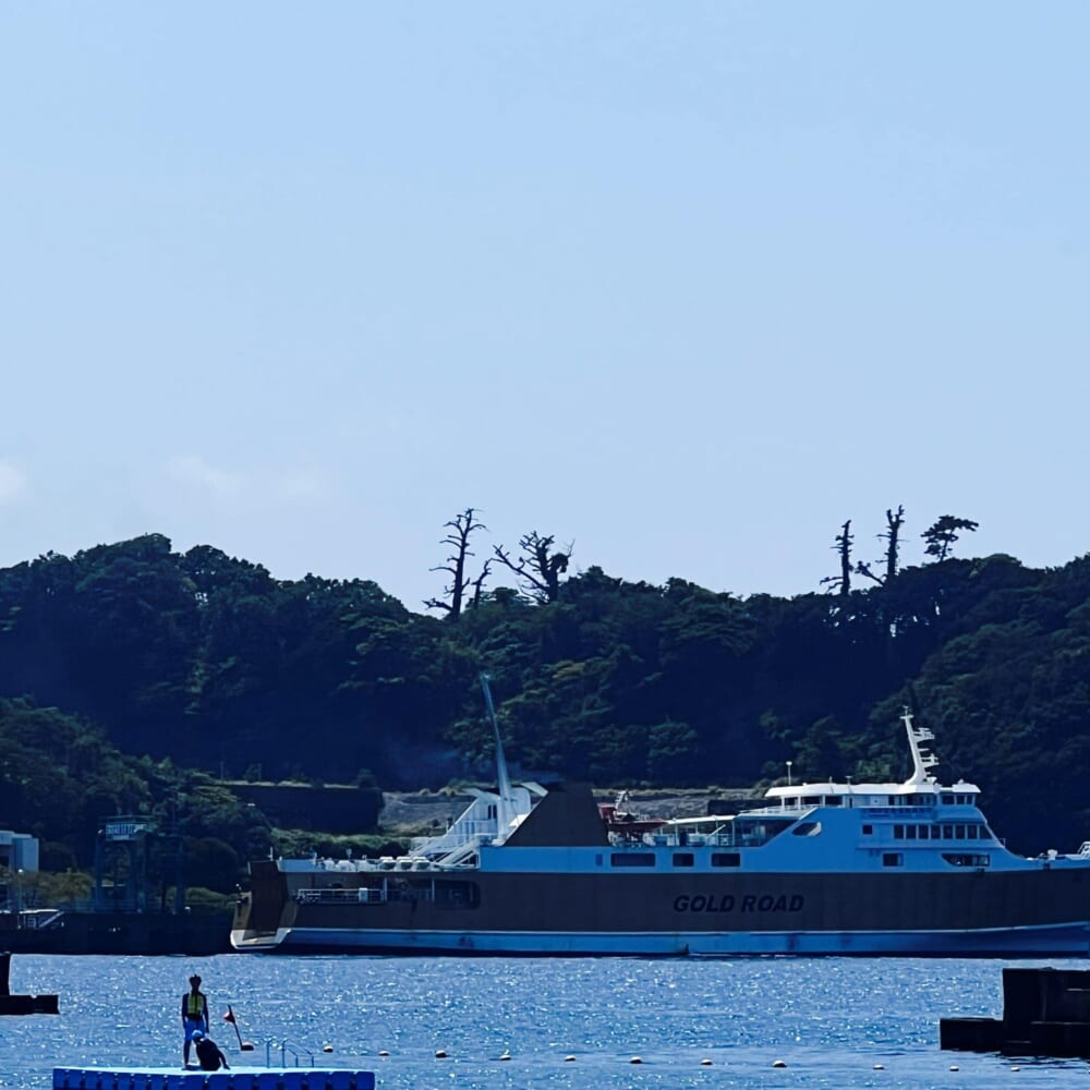 西伊豆 静岡県 土肥海水浴場で泳ぐ小学生 旅行