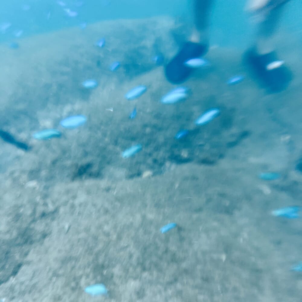 西伊豆 静岡県 海水浴場