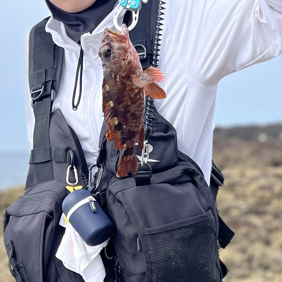 魚