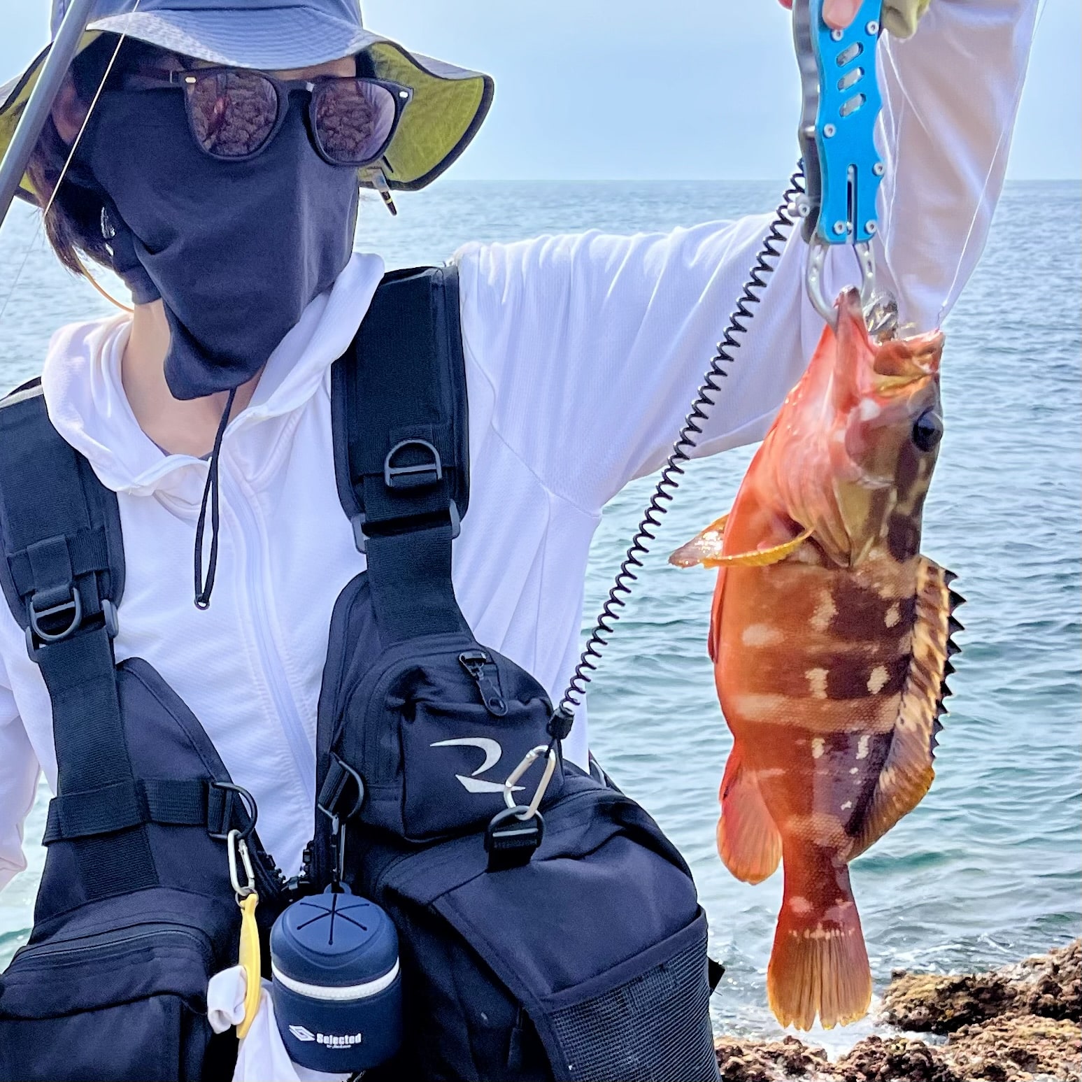 魚