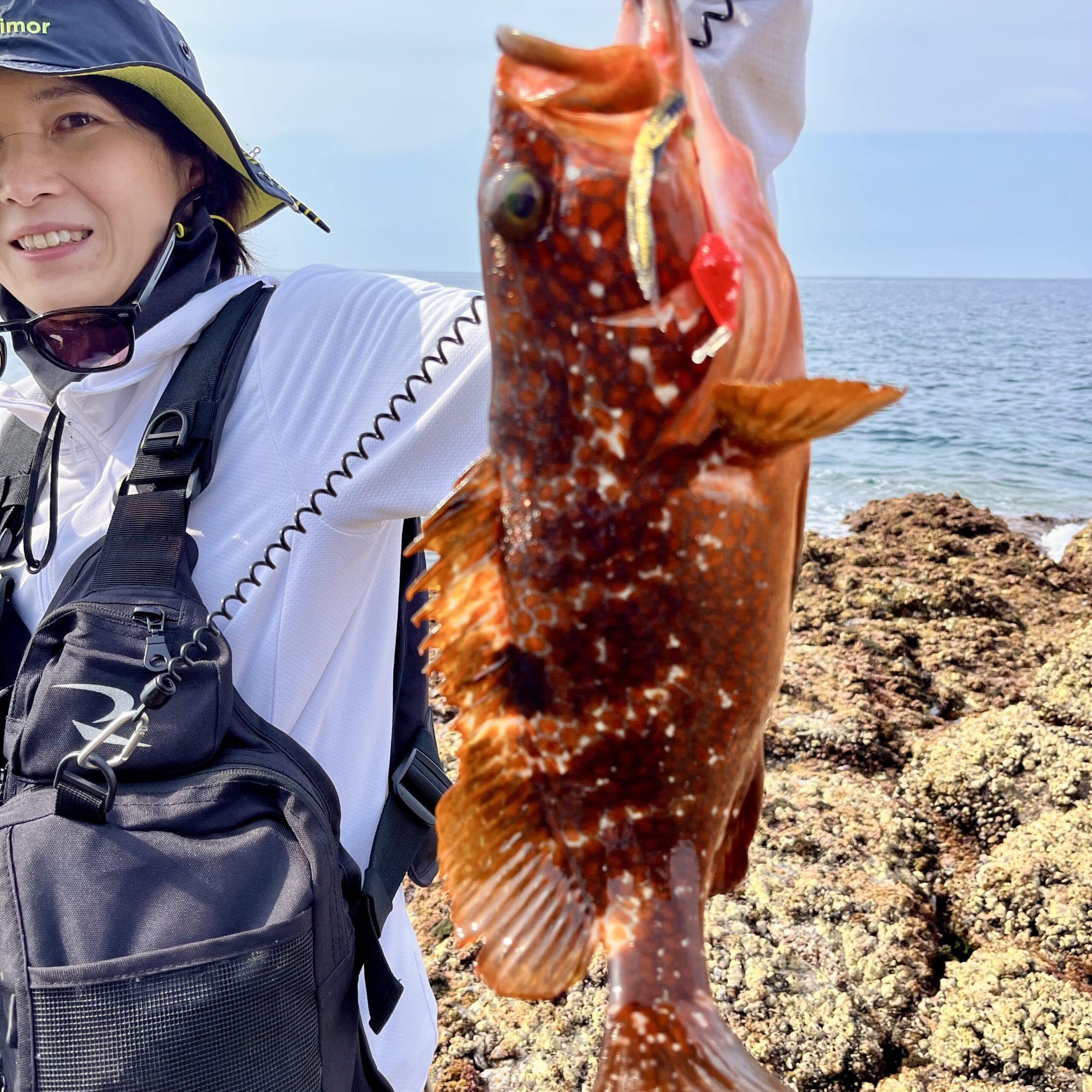 魚