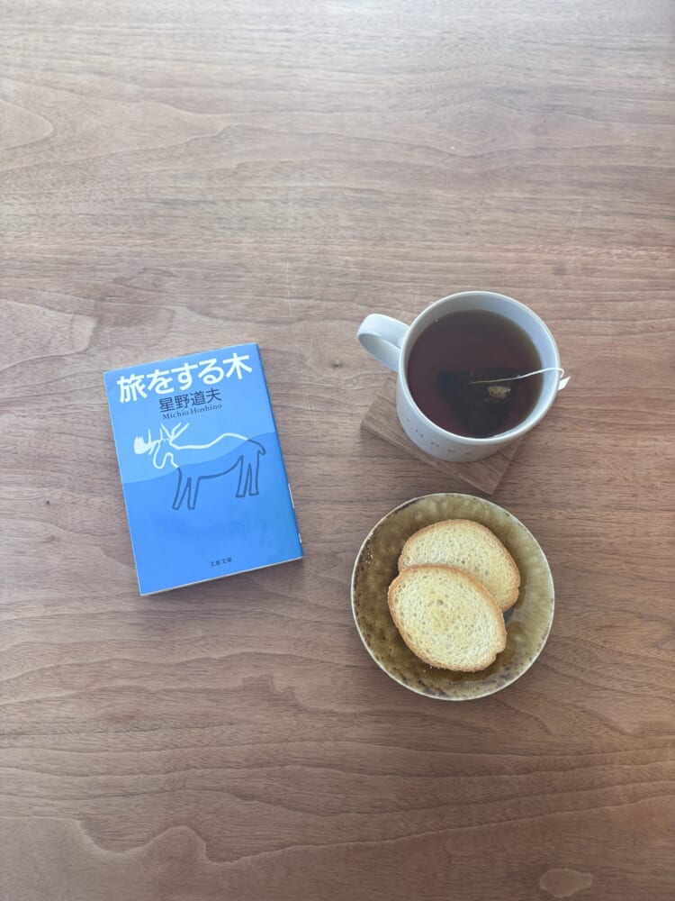 旅をするき