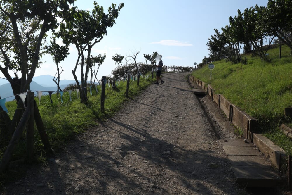 長瀞 宝登山