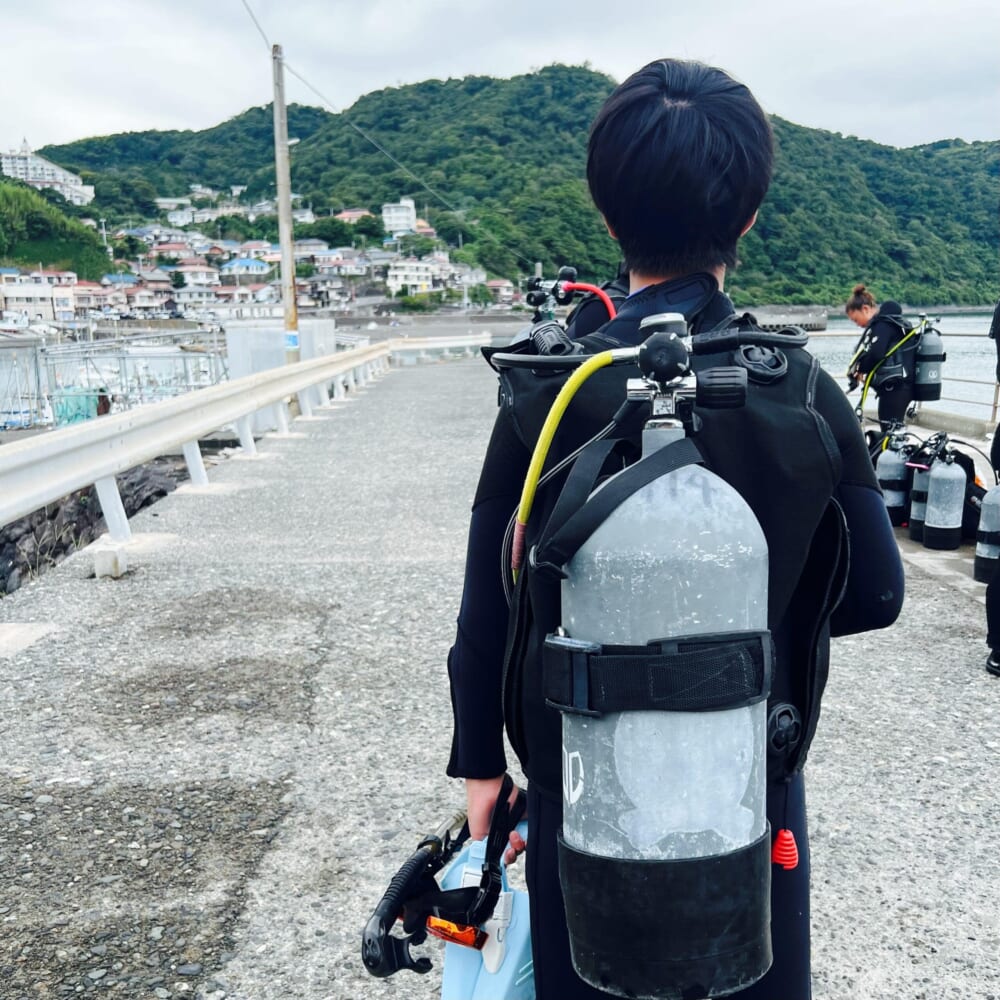 静岡県伊東市川奈 体験ダイビングする小学生