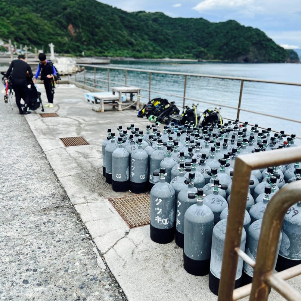 静岡県伊東市川奈 体験ダイビング