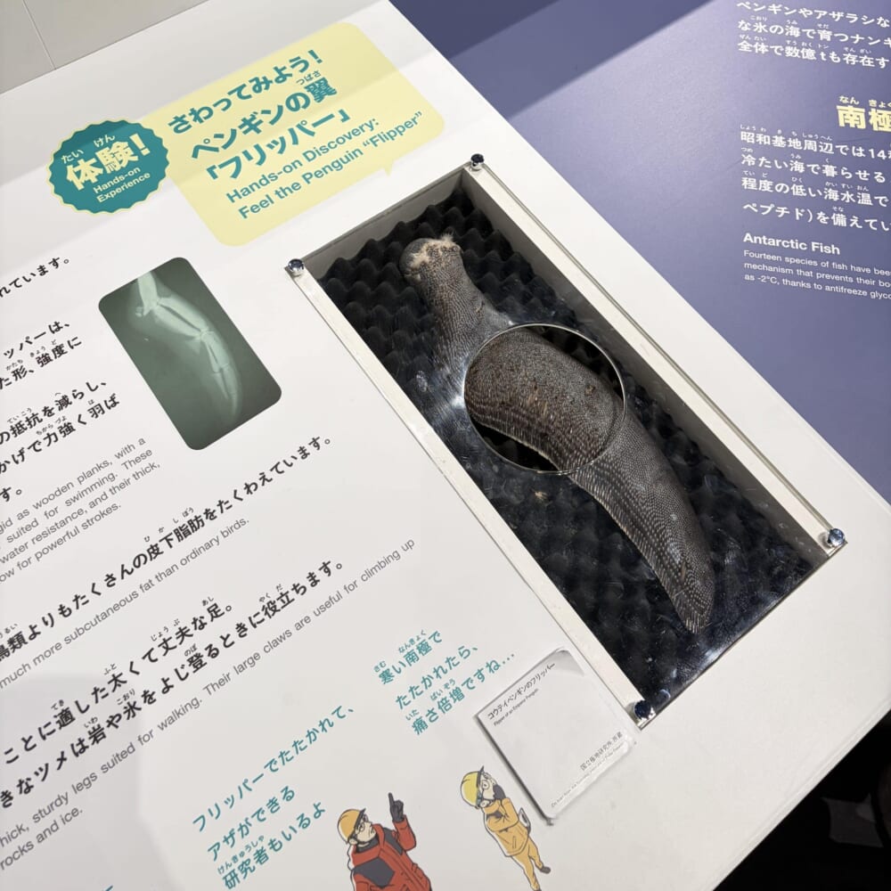 日本科学未来館　子連れおでかけ　大南極展