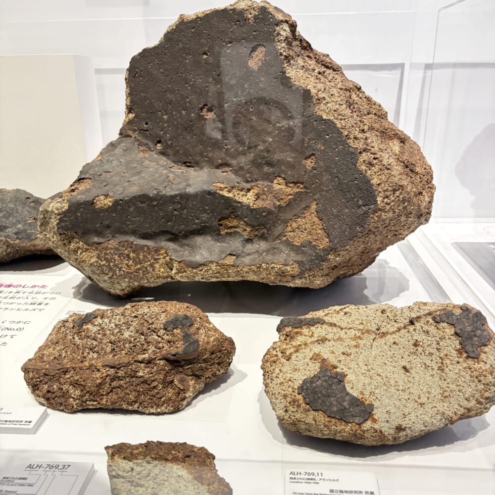 日本科学未来館　子連れおでかけ　大南極展