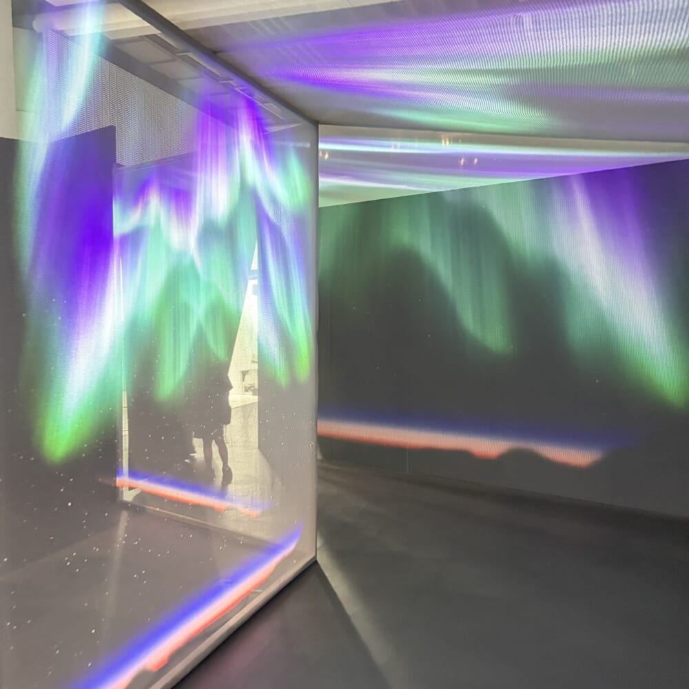 日本科学未来館　子連れおでかけ　大南極展